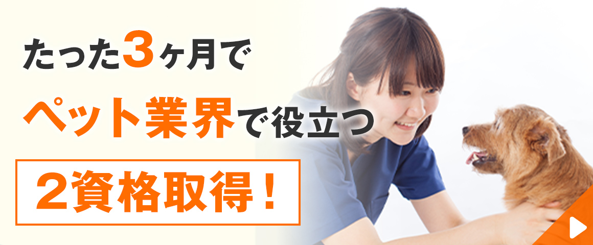 ペットケアアドバイザー&セラピスト