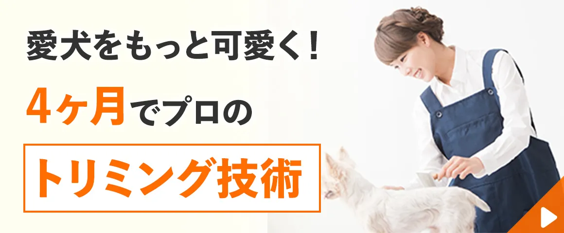 トリマー・ペットスタイリスト（キットなし）