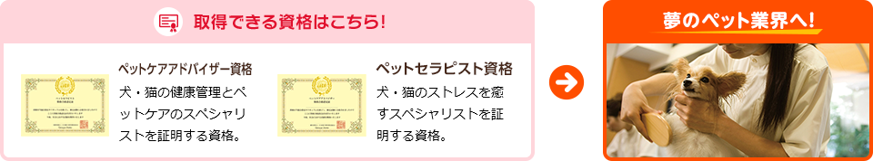 取得できる資格はこちら！夢のペット業界へ！