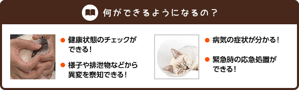 何ができるようになるの？