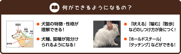 何ができるようになるの？