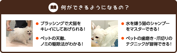 何ができるようになるの？