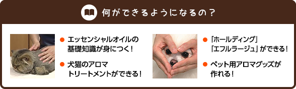 何ができるようになるの？