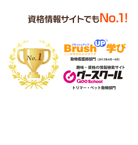 資格情報サイトでもNo.1!