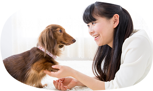 性格や習性を理解し、正しくしつけられる!