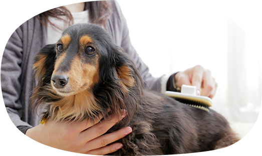 本格ペットケアで、いつもキレイで清潔!