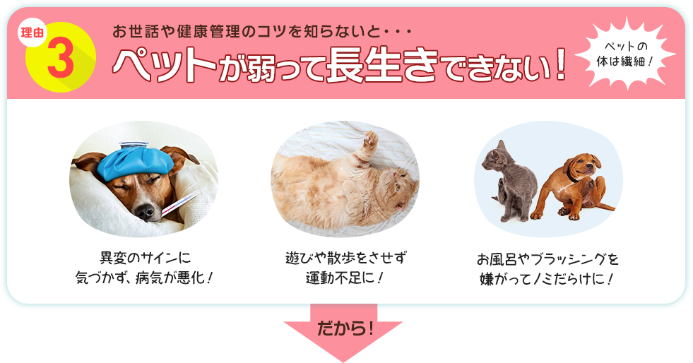 理由3 お世話や健康管理のコツを知らないと・・・ペットが弱って長生きできない！