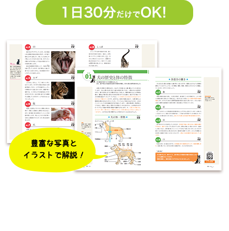 1日30分だけでOK！