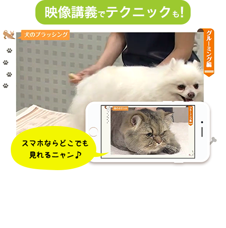 映像講義でテクニックも！