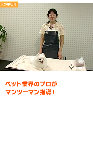 ペット業界のプロがマンツーマン指導！