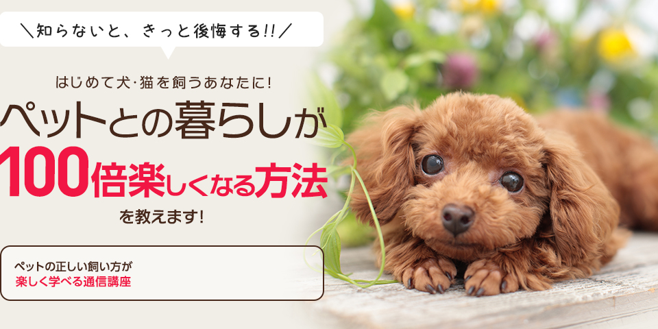 知らないと、きっと後悔する!! はじめて犬・猫を飼うあなたに！ ペットとの暮らしが100倍楽しくなる方法を教えます！