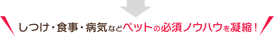 しつけ・食事・病気などペットの必須ノウハウを凝縮！ 