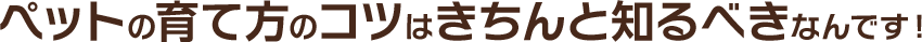 ペットの育て方のコツはきちんと知るべきなんです！ 