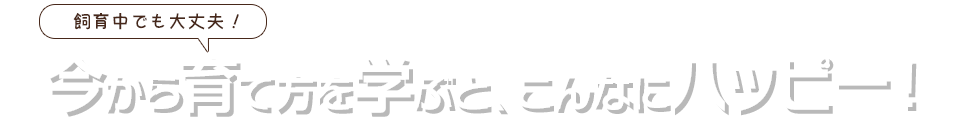 飼育中でも大丈夫！今から育て方を学ぶと、こんなにハッピー！