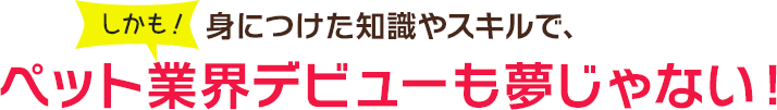 しかも！身につけた知識やスキルで、ペット業界デビューも夢じゃない！