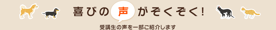 喜びの声がぞくぞく！受講生の声を一部ご紹介します