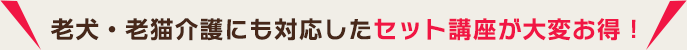 ペットケアアドバイザー&セラピスト + 動物介護士＆動物介護ホーム施設責任者セット