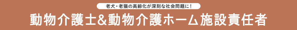 老犬・老猫の高齢化が深刻な社会問題に！ 動物介護士&動物介護ホーム施設責任者