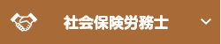 社会保険労務士（社労士）