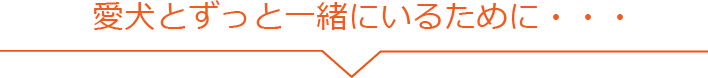 愛犬とずっと一緒にいるために・・・