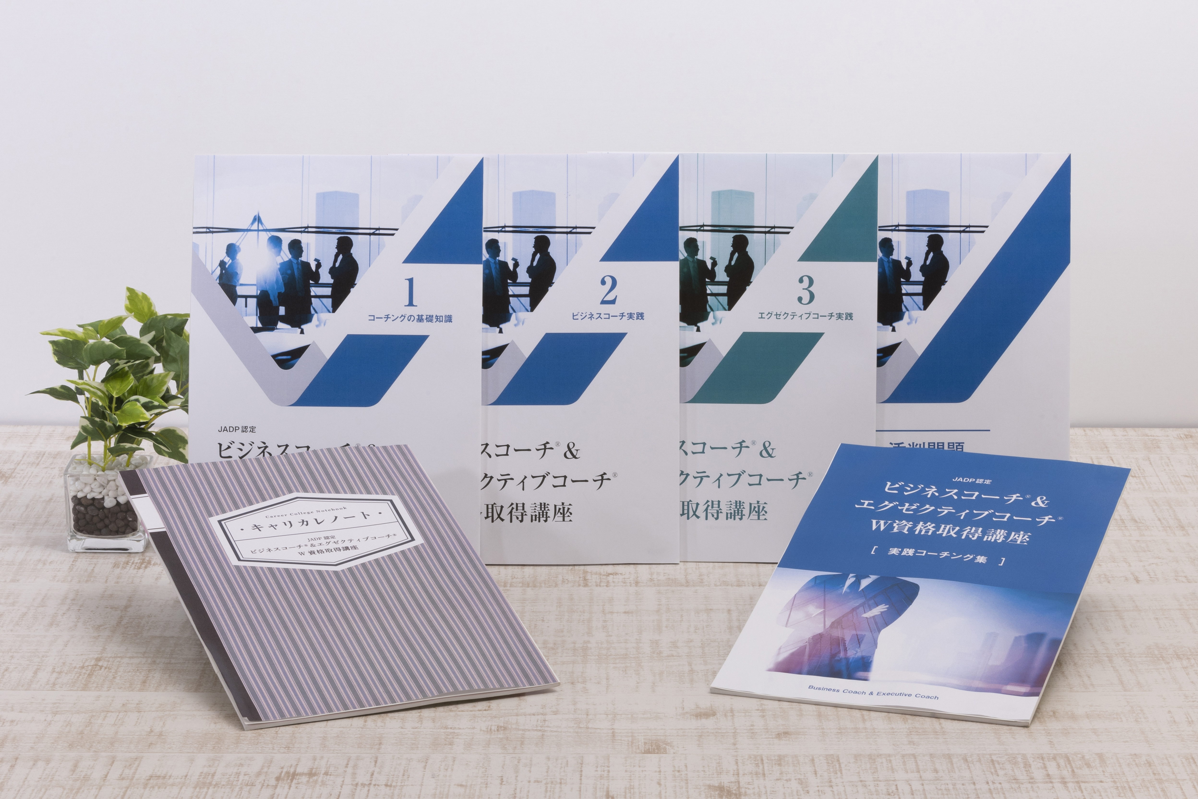 ビジネスコーチ(R)&エグゼクティブコーチ(R)
