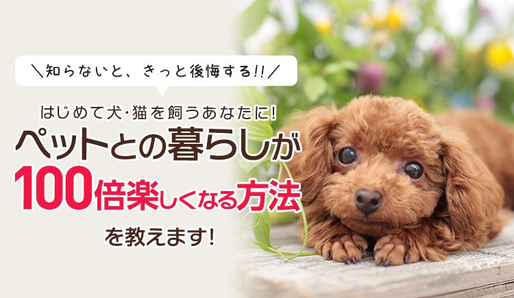 知らないと、きっと後悔する!!はじめて犬・猫を飼うあなたに！ ペットとの暮らしが100倍楽しくなる方法を教えます！