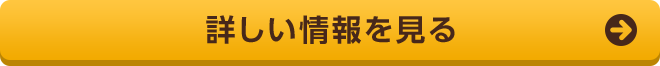 詳しい情報を見る