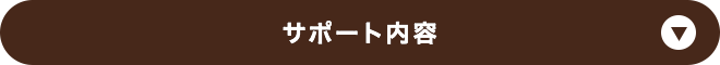 サポート内容