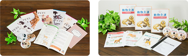 ペットケアアドバイザー&セラピスト + 動物介護士＆動物介護ホーム施設責任者セット