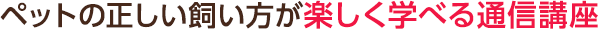 ペットの正しい飼い方が楽しく学べる通信講座