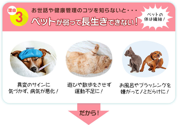 理由3 お世話や健康管理のコツを知らないと・・・ペットが弱って長生きできない！