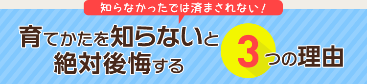 知らなかったでは済まされない！育てかたを知らないと絶対後悔する3つの理由