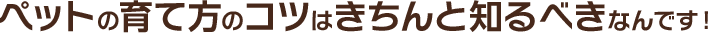 ペットの育て方のコツはきちんと知るべきなんです！ 