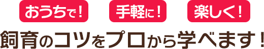 おうちで！手軽に！楽しく！飼育のコツをプロから学べます！