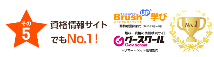 その5 資格情報サイトでもNo.1！