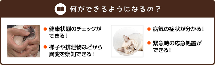 何ができるようになるの？