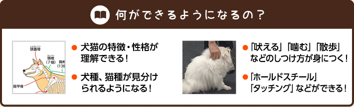 何ができるようになるの？