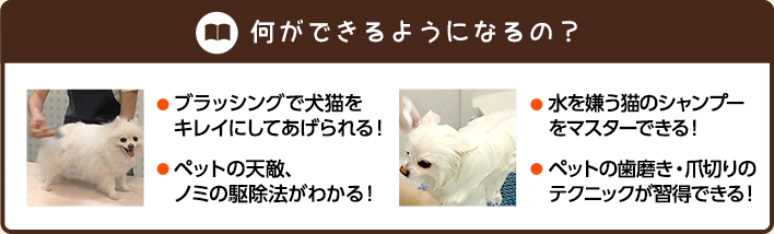 何ができるようになるの？