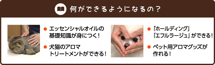 何ができるようになるの？