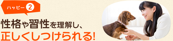 ハッピー2 性格や習性を理解し、正しくしつけられる!