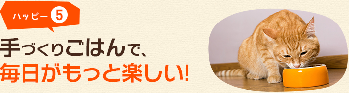 ハッピー5 手づくりごはんで、毎日がもっと楽しい!