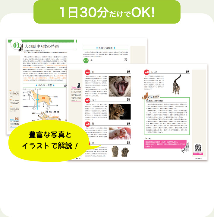 1日30分だけでOK！