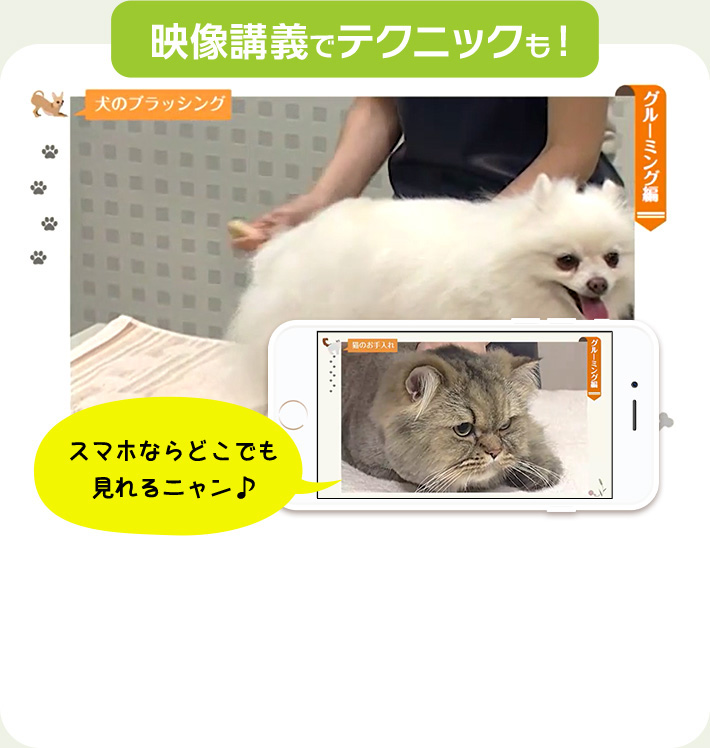 映像講義でテクニックも！