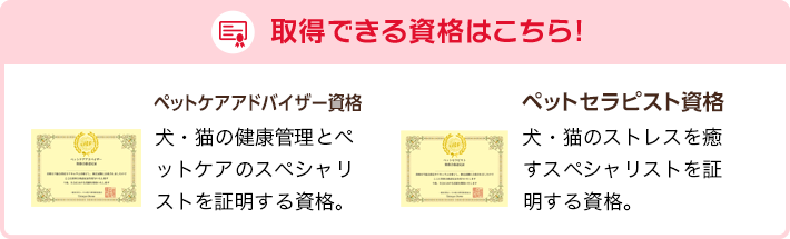 取得できる資格はこちら！