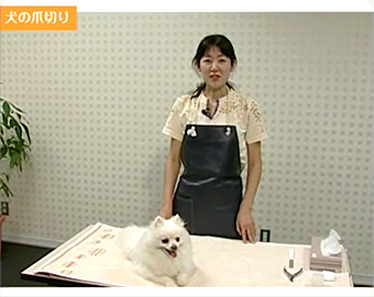 ペット業界のプロがマンツーマン指導！
