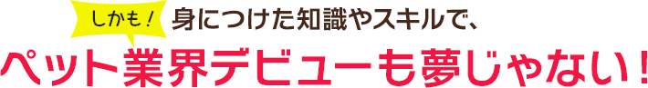 しかも身につけた知識やスキルで、ペット業界デビューも夢じゃない！ 