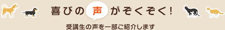 喜びの声がぞくぞく！受講生の声を一部ご紹介します
