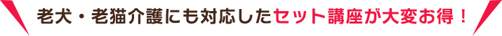 老犬・老猫介護にも対応したセット講座が大変お得！